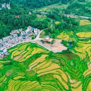 心動(dòng)好物 醉愛南丹|南丹好物館上線，文旅補(bǔ)貼專場(chǎng)直播人氣火爆