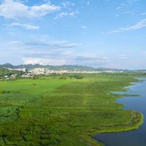 貴州威寧：草海夏日如同碧綠的翡翠