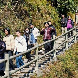 人大代表趙春朝：從“無人問津”到“訂單不斷” 瑤藥托起致富夢