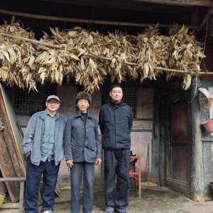 黔東南黔西北苗族方言民俗研究